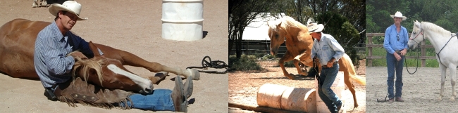 orses