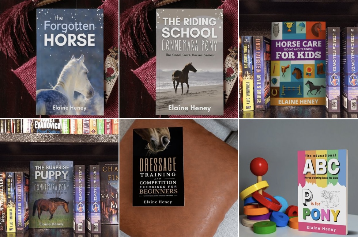 best horse books